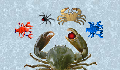 play CrabGame: Crab Lord's Demise