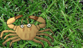 play Little crab game!