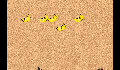 play amccabeExport.jar