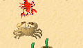 play Crab attack