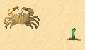 play little-crab v2
