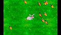 play Rabbit Sim