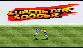 play Super Star Soccer