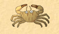 play little-crab-2