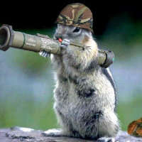 RaBBiD_sQuRReL