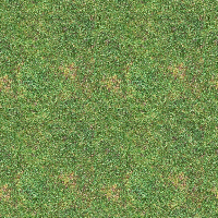 opo89