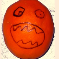 Podus_Rex
