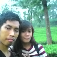 ardi95