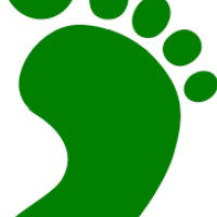 Mr.Green