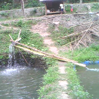 Rahmawatiulfa