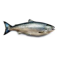 kubilay.y