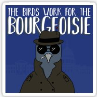 Bourgeoisie_Bird
