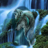 Triniwolfgirle