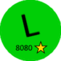 local_8080