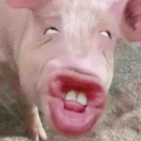 Gilangg