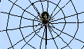 play spiderweb