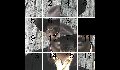 play 15puzzle