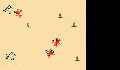 play little-crab