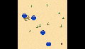 play little-crab