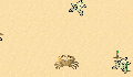 play little crabby