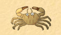 play Little Crab: Party Edition