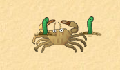 play little-crab