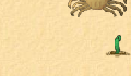 play little-crab