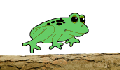 play Jumping Frog