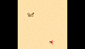 play little-crab-Chuang