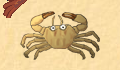 play Awesome Crab