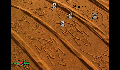 play DesertLife