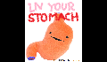 play IN YOUR STOMACH