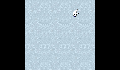 play little-crab