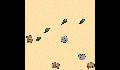 play wombats2