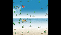 play cangrejoo