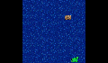 play wombatfish