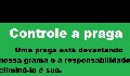 play EP - Jogo