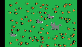 play Rabbits2