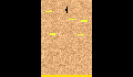 play Jason R Doodle Jump