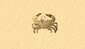 play Little Crab revised