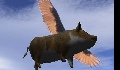 play pigs fly game