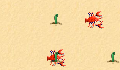 play little-crab-2