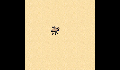 play wombats-test