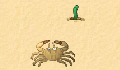 play Little Crab