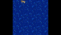 play little-crab