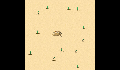 play modern-crab