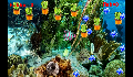 play fish dan kaktus