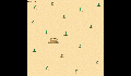play Shallow Crab