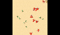 play TesteJavaGame