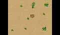 play trick-the-turtle